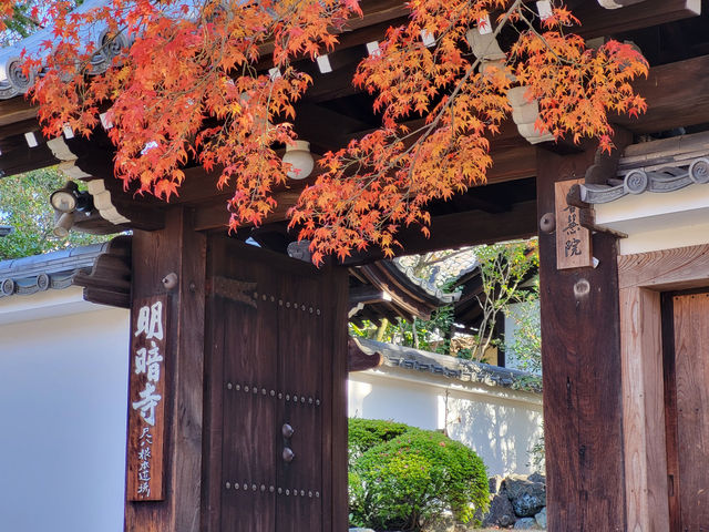 京都紅葉名勝：東福寺