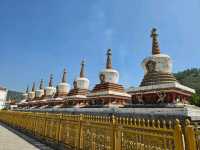 Exploring Kumbum Monastery — A Sacred Land of Tibetan Culture and Art