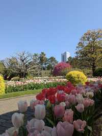  【宮崎】四季の花と光の魔法🌸フローランテ宮崎で癒しの