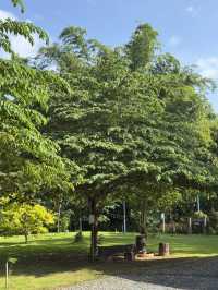 อยากไปแคมป์…แต่ไม่ได้อยากกางเต็นท์ 🌳⛺️