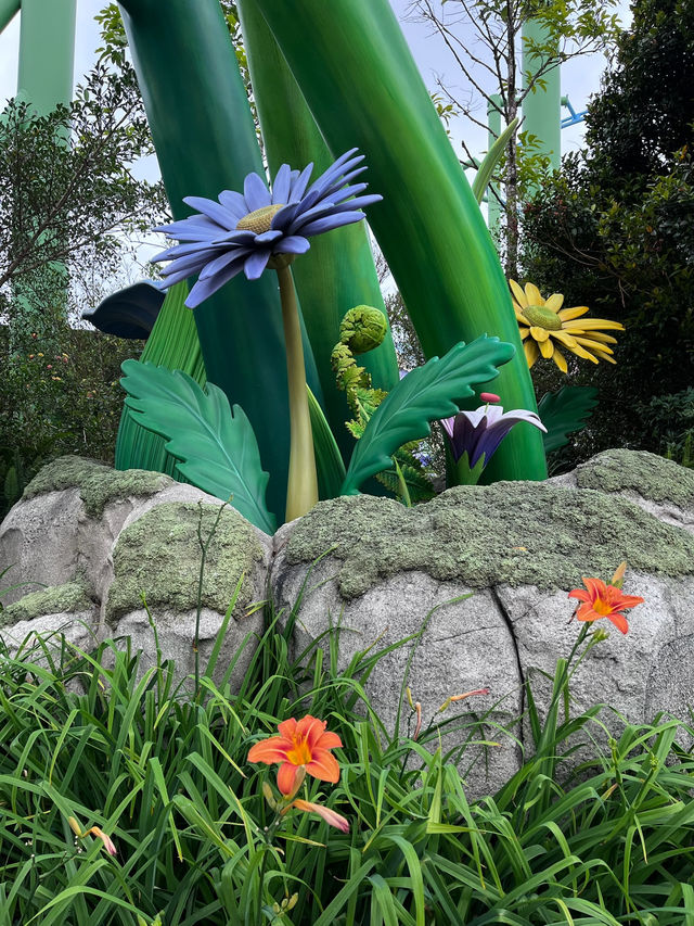 Sail into the Magical World of Moonhaven!