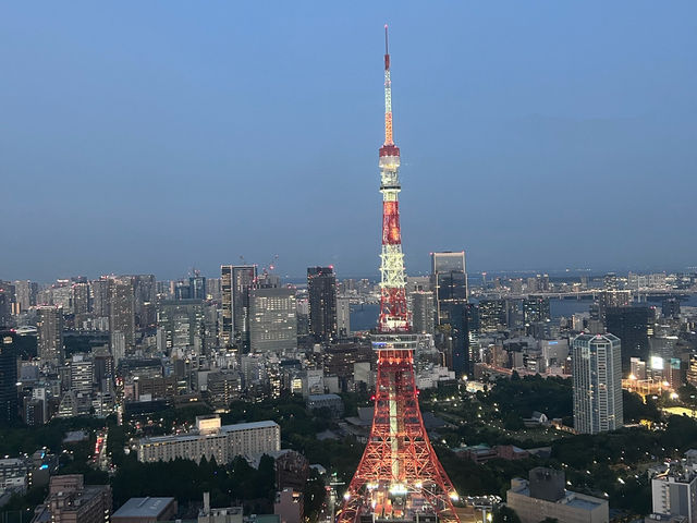 到東京怎能不到東京塔🗼