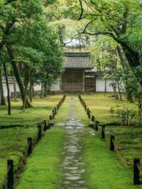 京都必去景點（四）🌿西芳寺の絕美苔蘚王國🌿