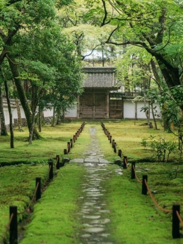 京都必去景點（四）🌿西芳寺の絕美苔蘚王國🌿