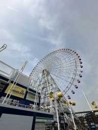 Kaiyukan Osaka – พิพิธภัณฑ์สัตว์น้ำสุดอลัง