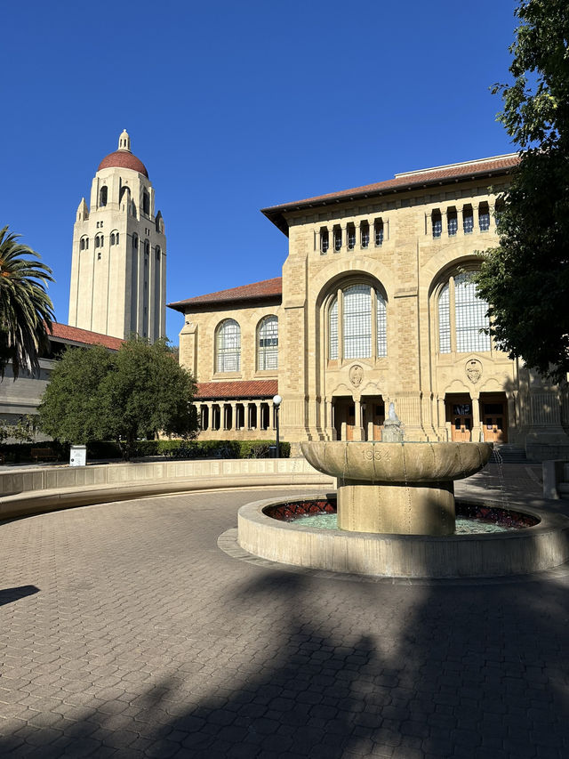 Stanford大學校園參觀 | 矽谷頂尖學府朝聖之旅 🎓