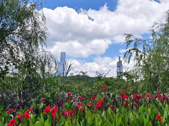 貴州之旅景點分享 青巖古鎮 博物館 觀山湖公園 青雲路步行街 甲秀樓 蔡家街夜市 