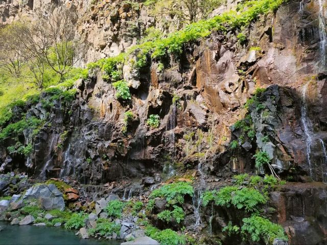 Dashbashi Canyons is Wild