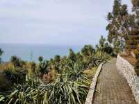 Leaf It All Behind at Batumi Botanical Garden