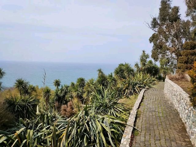 Leaf It All Behind at Batumi Botanical Garden