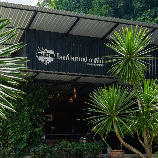 โรงคั่วกาแฟเขาสก ☕️⛰️