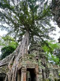 🛕 Phnom Bakheng – Sunset Above the Temples of Time 🌄
