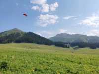 Nalati Sea of Flowers, A Summer Poem Under the Paraglider