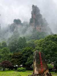 Zhangjiajie Forest Park, Avatar Vibes and Sky High Views