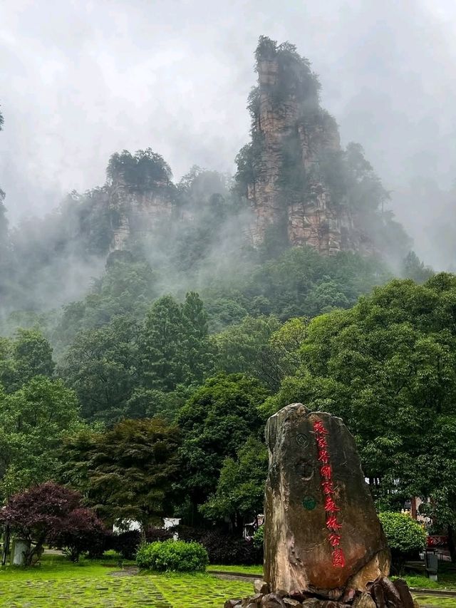Zhangjiajie Forest Park, Avatar Vibes and Sky High Views