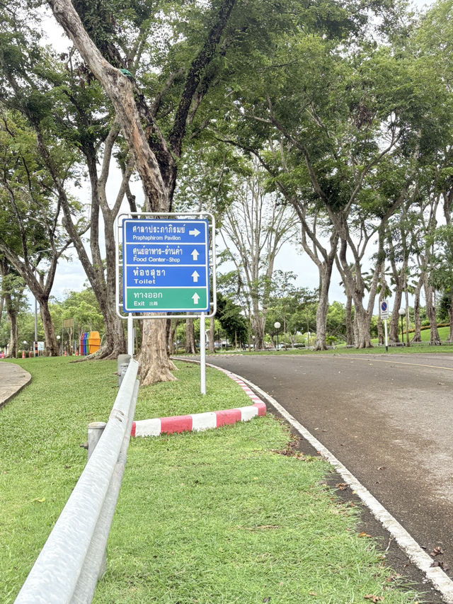 ที่นี่คือเขื่อนรัชชประภา (เขื่อนเชี่ยวหลาน) 🏔️🚴‍♀️