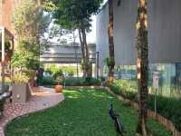 Transit in Style – My Airport Stay at Crowne Plaza Changi Singapore