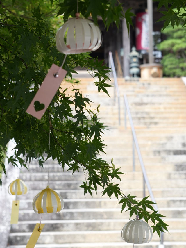 【静岡】2000個の江戸風鈴は圧巻！ものすごい音色