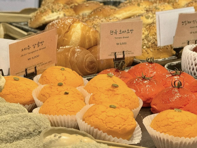 제주 새별오름 근처에 위치한 800평 규모의 대형카페 ‘제주당’🍊
