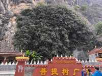 中國寧波 寧波驛服務區往巴拉格宗山