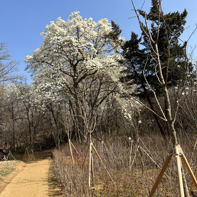 서울 둘레길의 봄과 여름 풍경