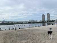 【お台場海浜公園】