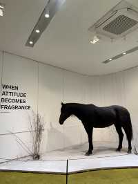 TAMBURINS Flagship Store Sinsa