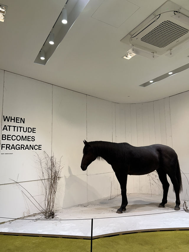 TAMBURINS Flagship Store Sinsa
