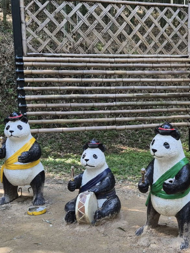 🏞️ 담양 여행 추천 코스