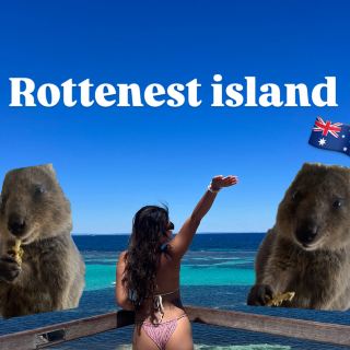 [Searching for quokkas and cycling through the spectacular scenery on Rottnest Island 🌊🚲]