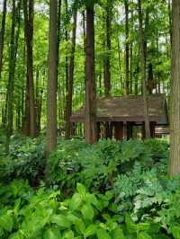Skip the Crowds: Discover Quyuan Fenghe