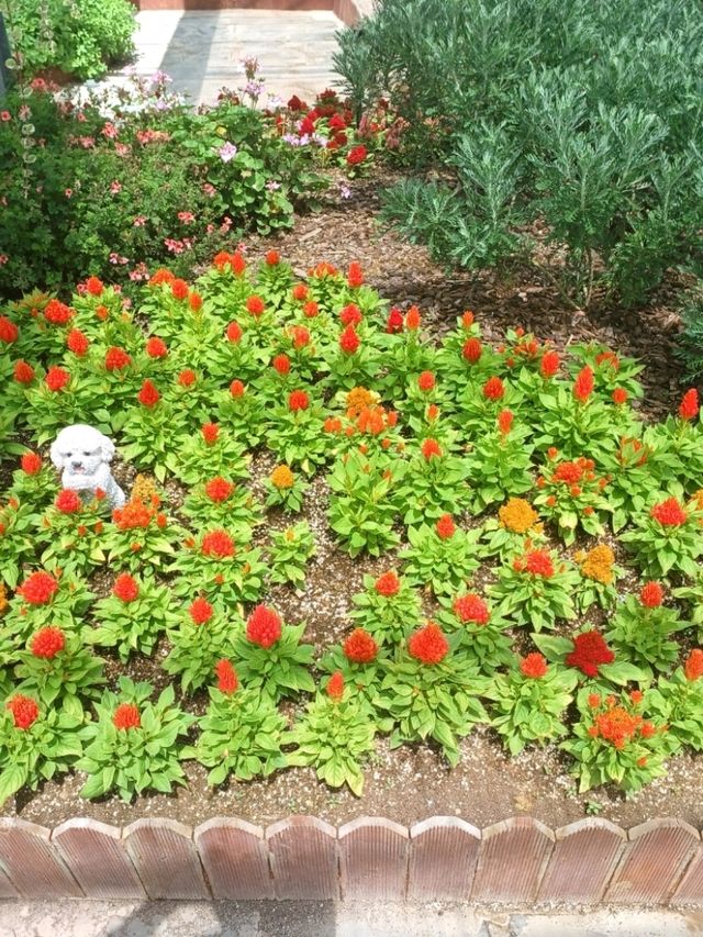 야외정원 산책, 꽃길 따라 걷기🌸