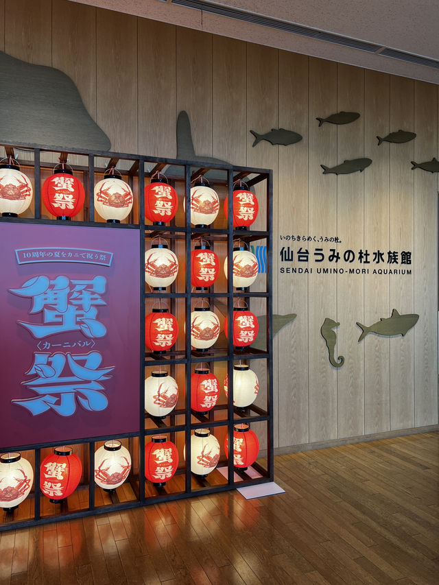 東北の海と生命の魅力が詰まった仙台うみの杜水族館へ行くべき五つの理由🇯🇵✈️🌏