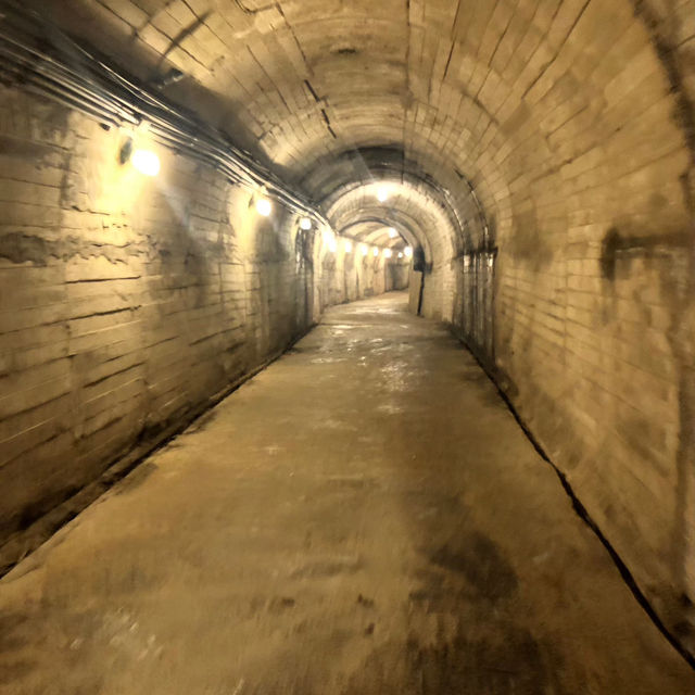🐢 龜山島：太平洋上的守護龜