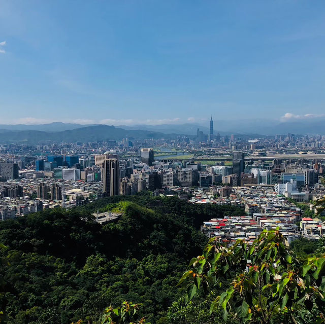 臺北·金面山⛰️台北市中心的驚艷稜線小百岳