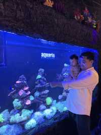 Spot Dory & The Coral Garden at Aquaria KLCC
