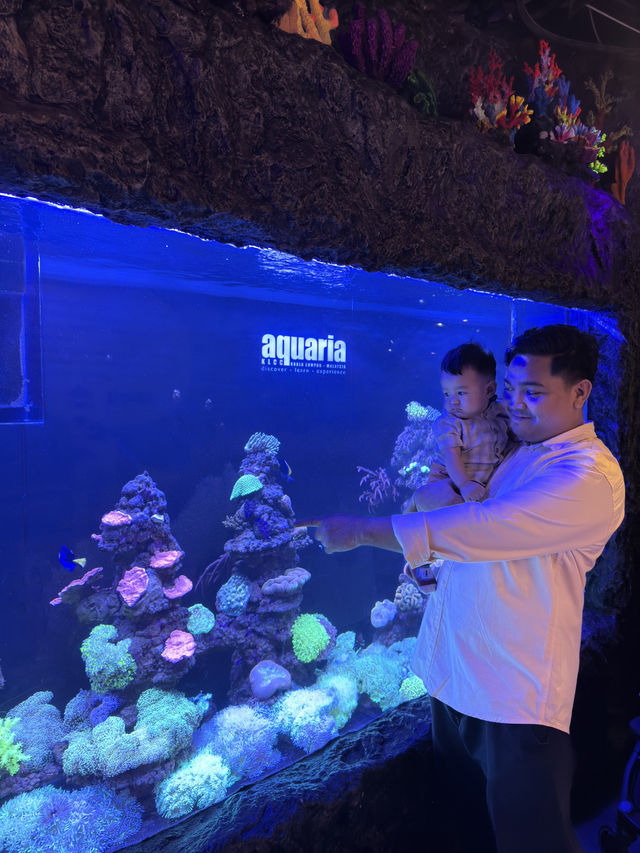 Spot Dory & The Coral Garden at Aquaria KLCC