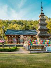 📍Daegu 2D1N Under RM300 – Korea’s Hidden Gem on a Budget! 🇰🇷