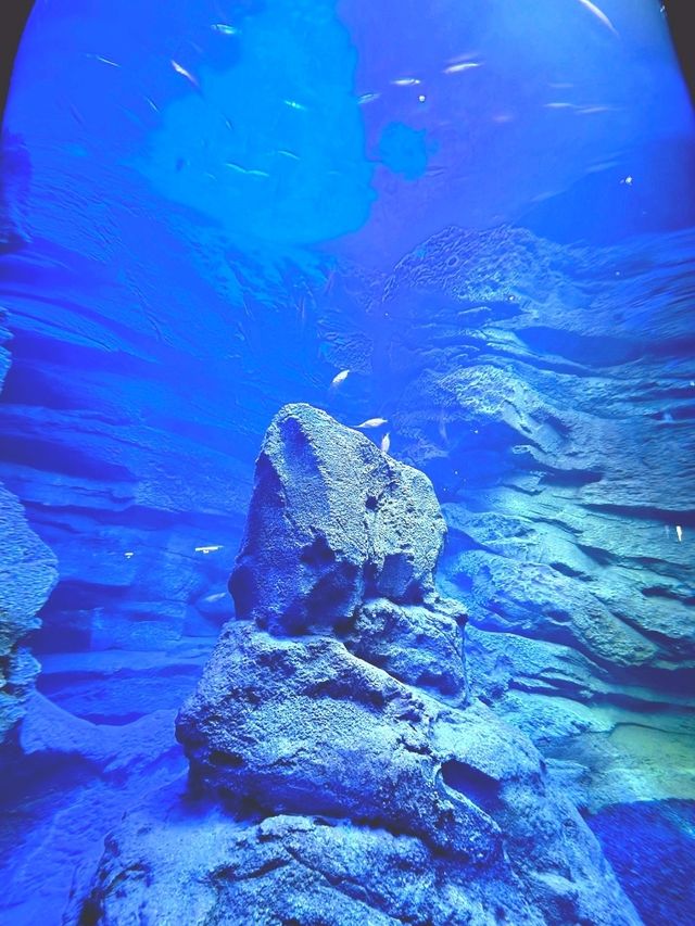 Into the Deep: Where Giants Rest