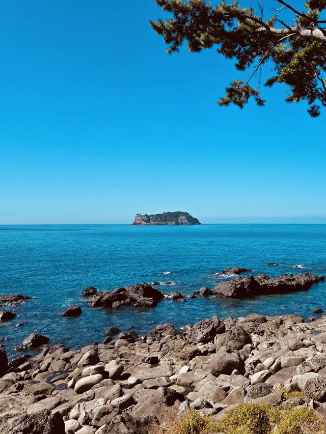 A Secluded Spot for Tranquil Contemplation and Ocean Sounds