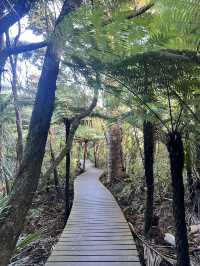 NZの休日🗻絶景スポット発見👀