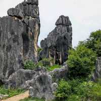 Shilin Stone Forest (Kunming, Yunnan)