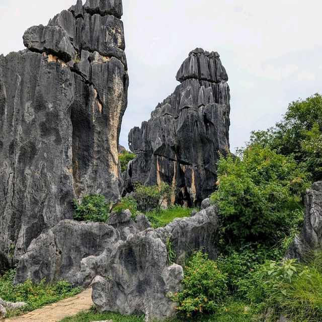 Shilin Stone Forest (Kunming, Yunnan) Shilin Stone Forest (Kunming, Yunnan)