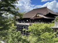 毎年真夏の清水寺を涼しく彩る風鈴まつりが今年も開催🎐🏮👘✨