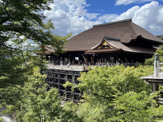 毎年真夏の清水寺を涼しく彩る風鈴まつりが今年も開催🎐🏮👘✨