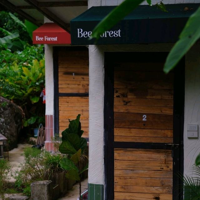 ที่พักแบบใกล้ชิดธรรมชาติ ติดลำธาร แม่ลาย เชียงใหม่