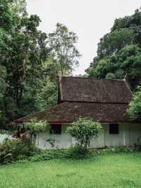 วัดผาลาด – สถานที่แห่งความสงบกลางป่าดอยสุเทพ 🕊️