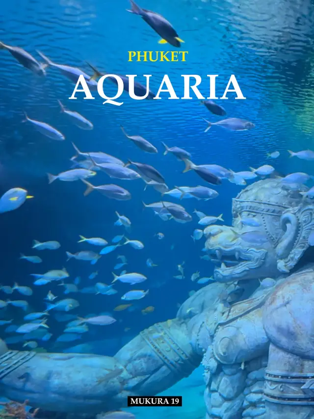 Aquaria Phuket ดินแดนใต้น้ำสุดอลังการ