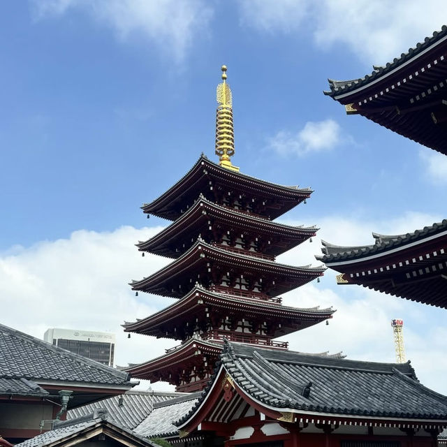 🏯 วัดเซ็นโซจิในฤดูใบไม้ร่วง 