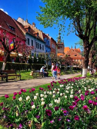 🏰✨ Sighișoara: A Medieval Gem in Transylvania